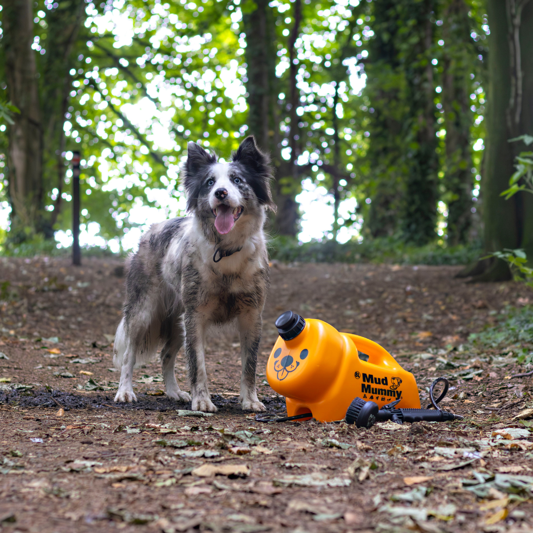 Portable Dog Washer 8L | Mud Mummy® – muddaddy.co.uk