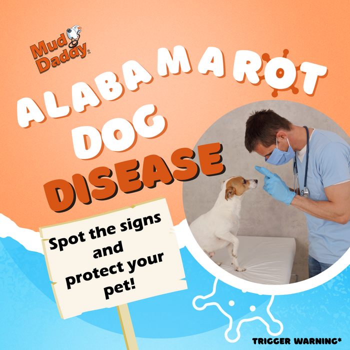 Alabama Rot Dog Disease and Why Muddy Dog owners should Beware!