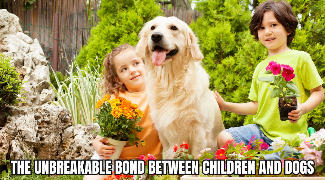 The Unbreakable Bond Between Children and Dogs
