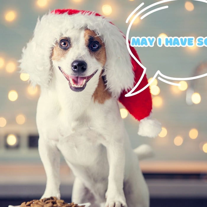 Ensuring a Safe and Festive Feast: Christmas Foods for Your Dog