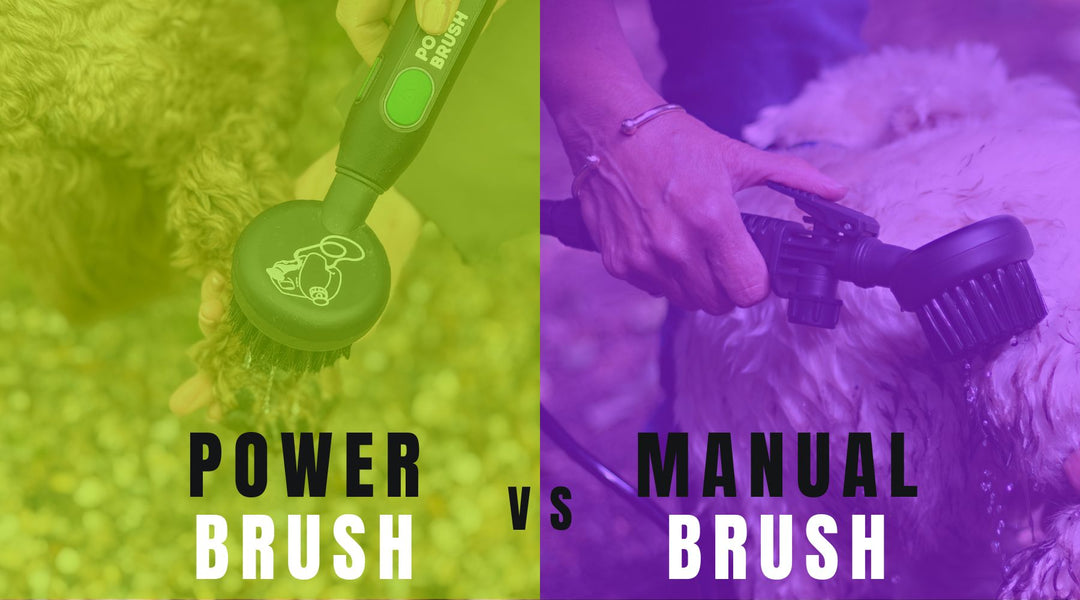 Power Brush vs. Manual Brush: Which One’s Your Bath Time Buddy?
