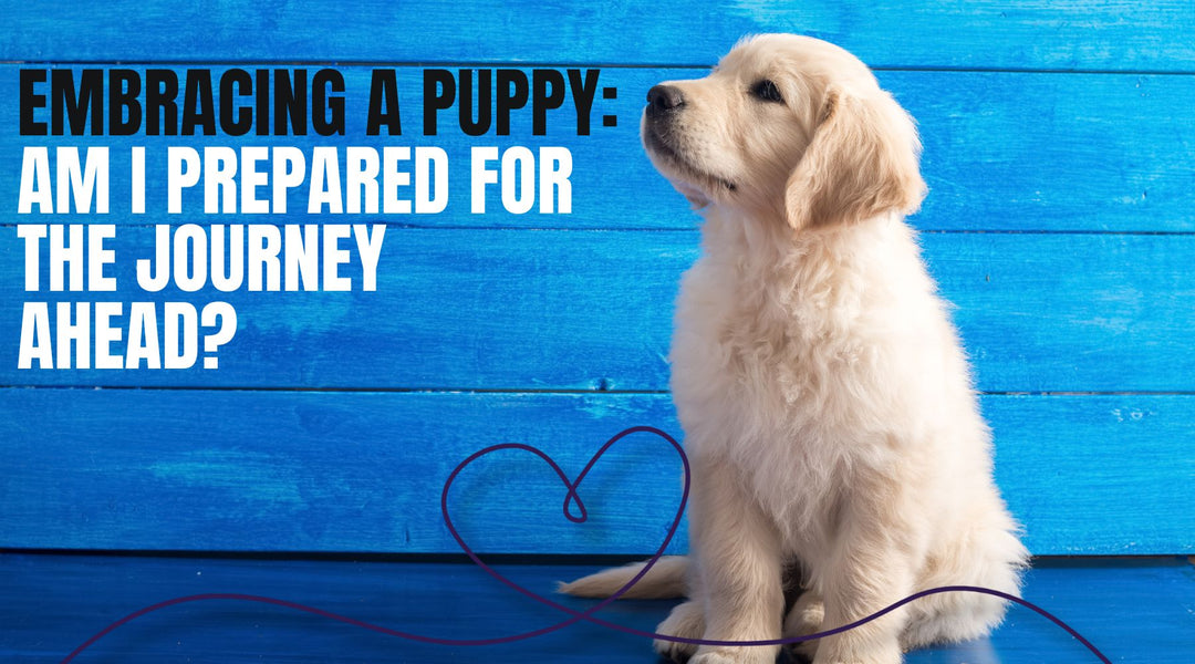 Embracing a Puppy: Am I Prepared for the Journey Ahead?