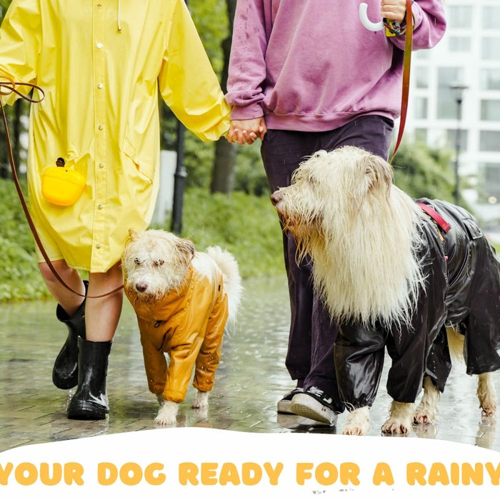Mastering Rainy Day Walks: Top Tips for Keeping Your Canine Companion Happy and Dry