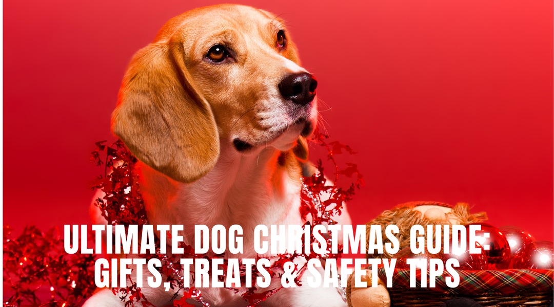 Ultimate Dog Christmas Guide: Gifts, Treats & Safety Tips