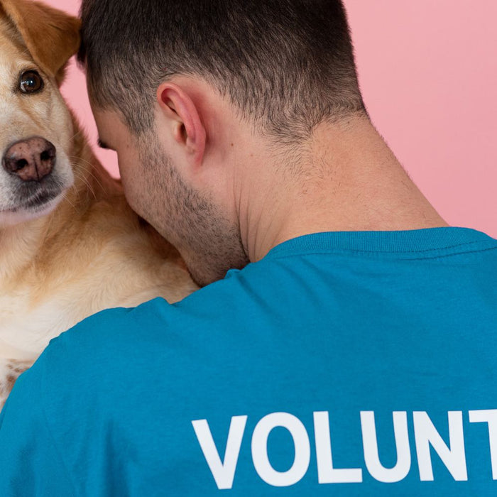 Embracing Unconditional Love: The Joy of Volunteering with Dogs