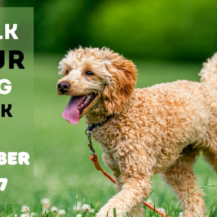 Celebrating: Walk Your Dog Week