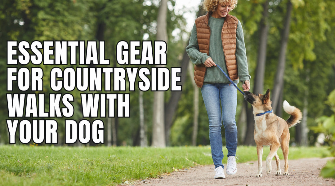 Essential Gear for Countryside Walks with Your Dog