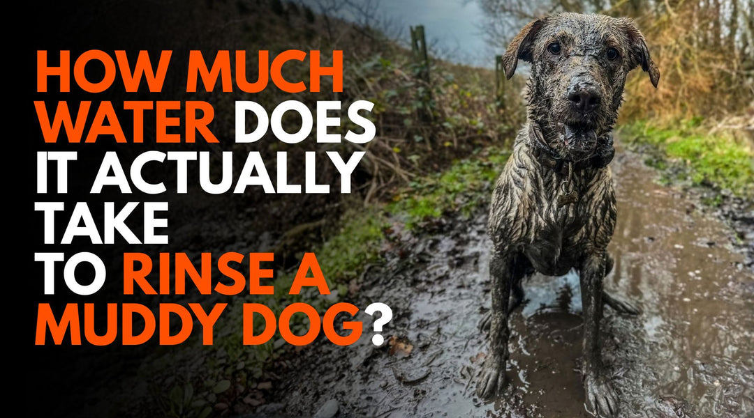 How Much Water Does It Take to Wash a Muddy Dog?