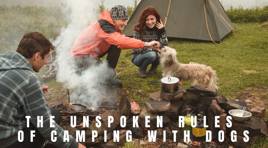The Unspoken Rules of Camping with Dogs