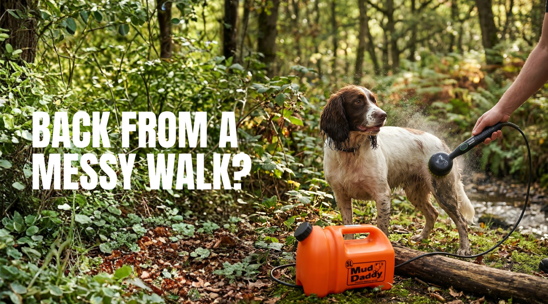 Back From a Messy Walk?