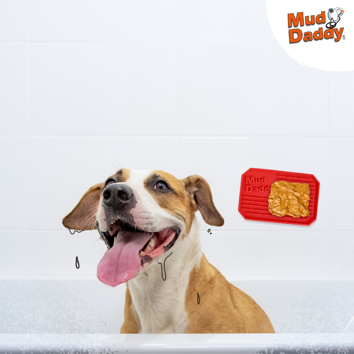 5 tips to make sure your dog will love being cleaned
