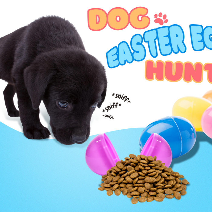 Easter Fun: Creating a Dog Friendly Egg Hunt!