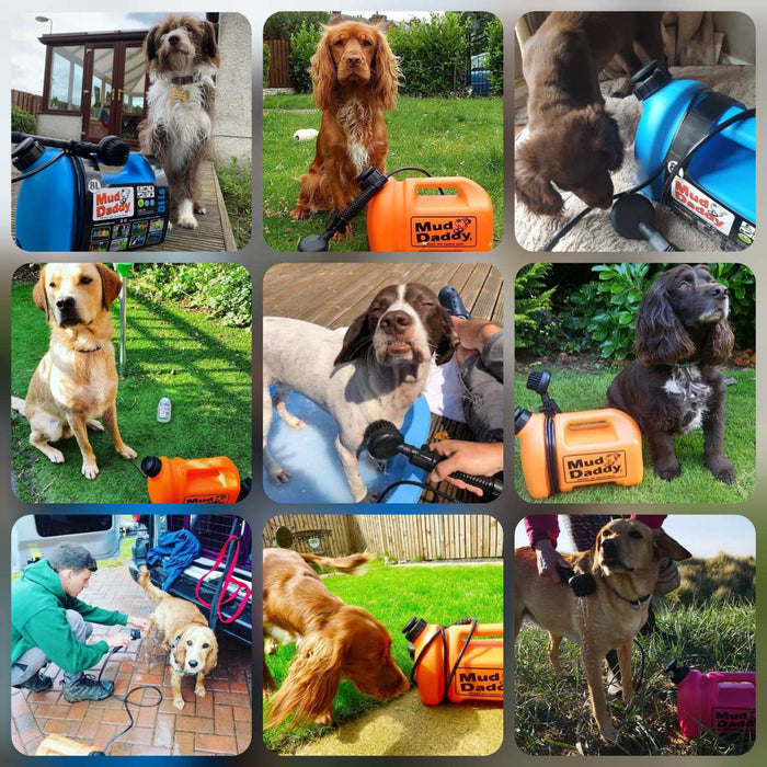 Protect your furry friends in this muddy & season | muddaddy.co.uk