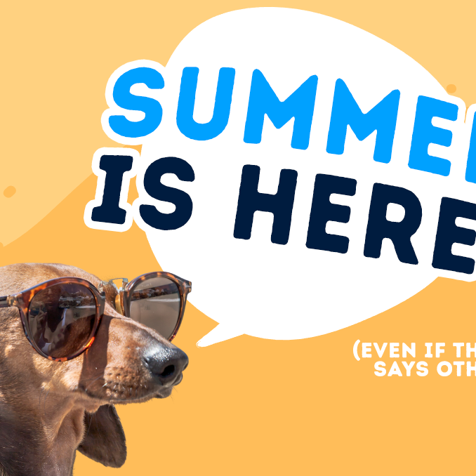 Schools out! 4 things to do with your Dog this Summer! 😎