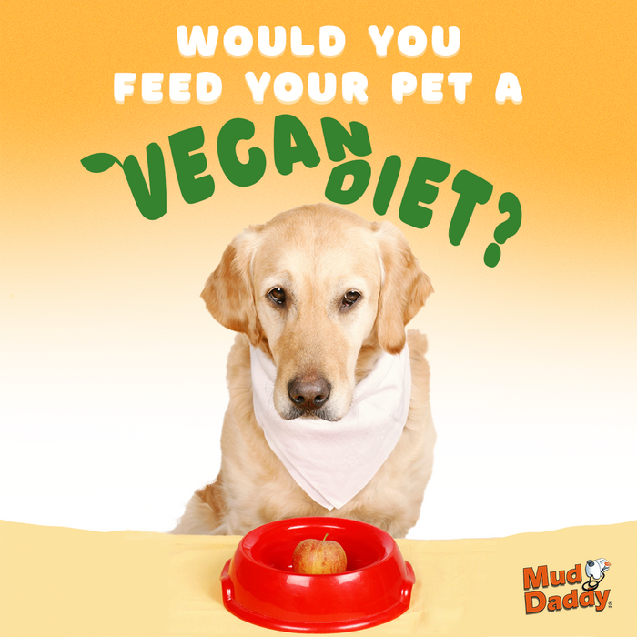 Is it Safe to Feed Your Dog a Vegan Diet?