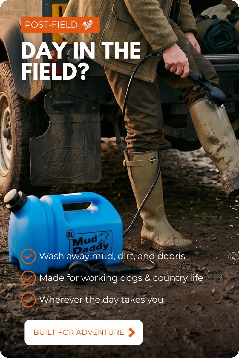 POST-FIELD