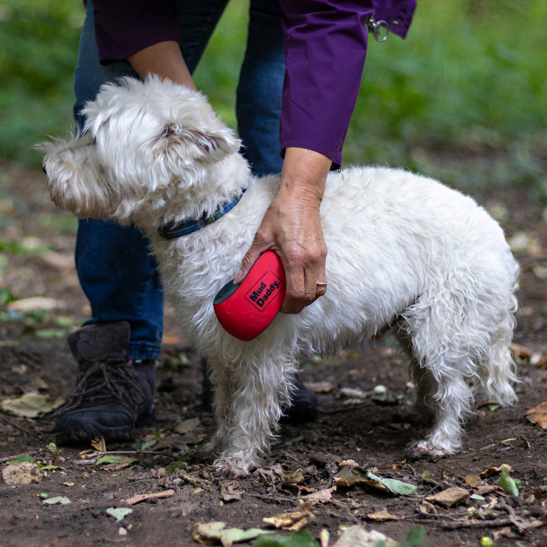 Mud Daddy® 8L Valentine’s Bundle – Outdoor Cleaning for Dog Lovers