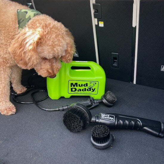 Power dog hot sale brush