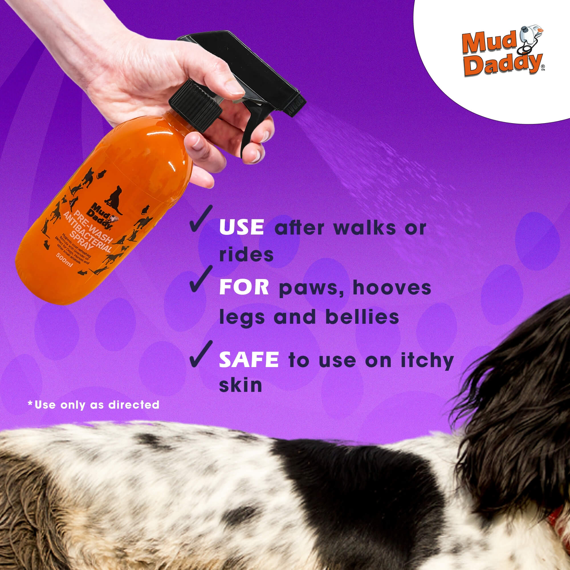 Antibacterial dog wash shop