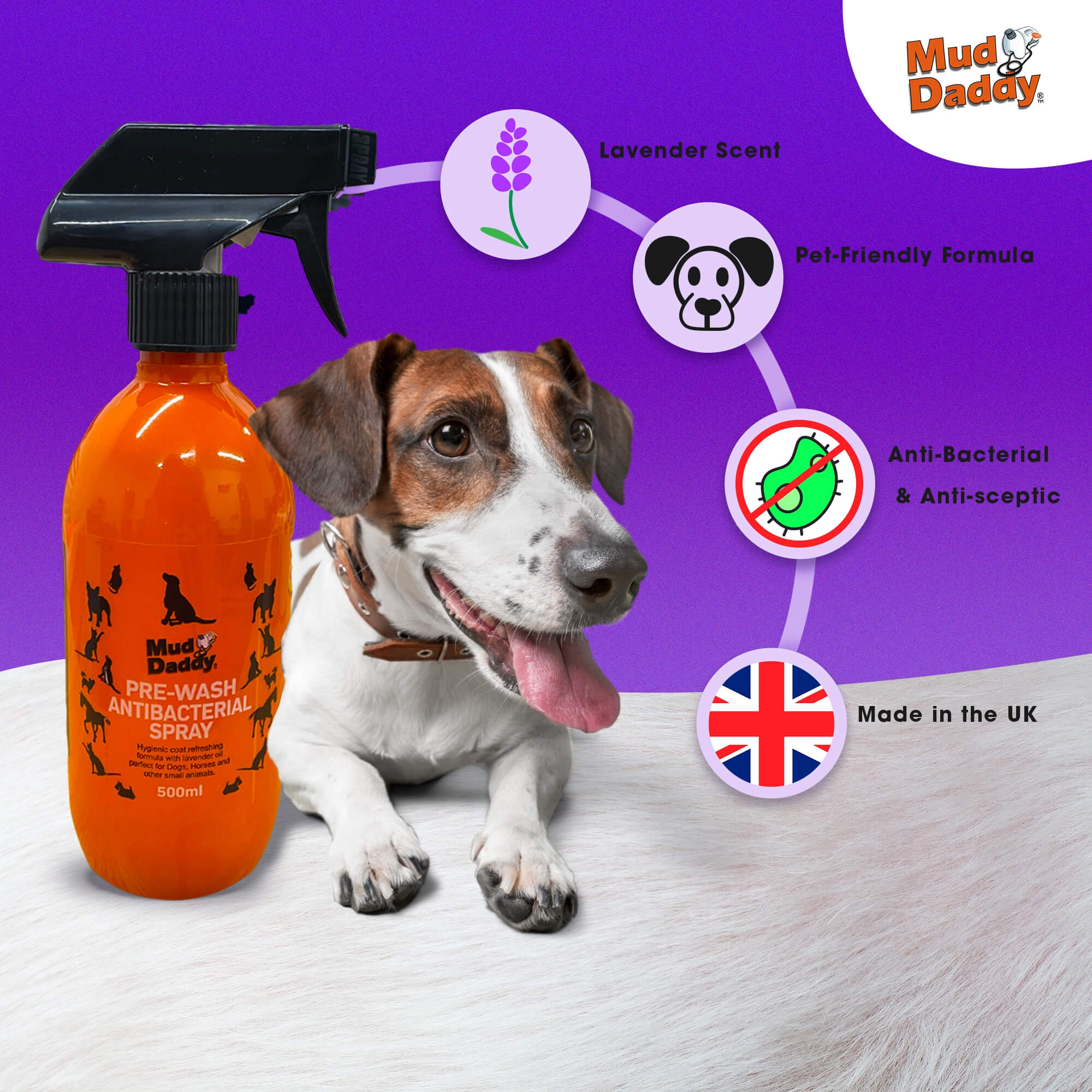 Antibacterial dog wash shop