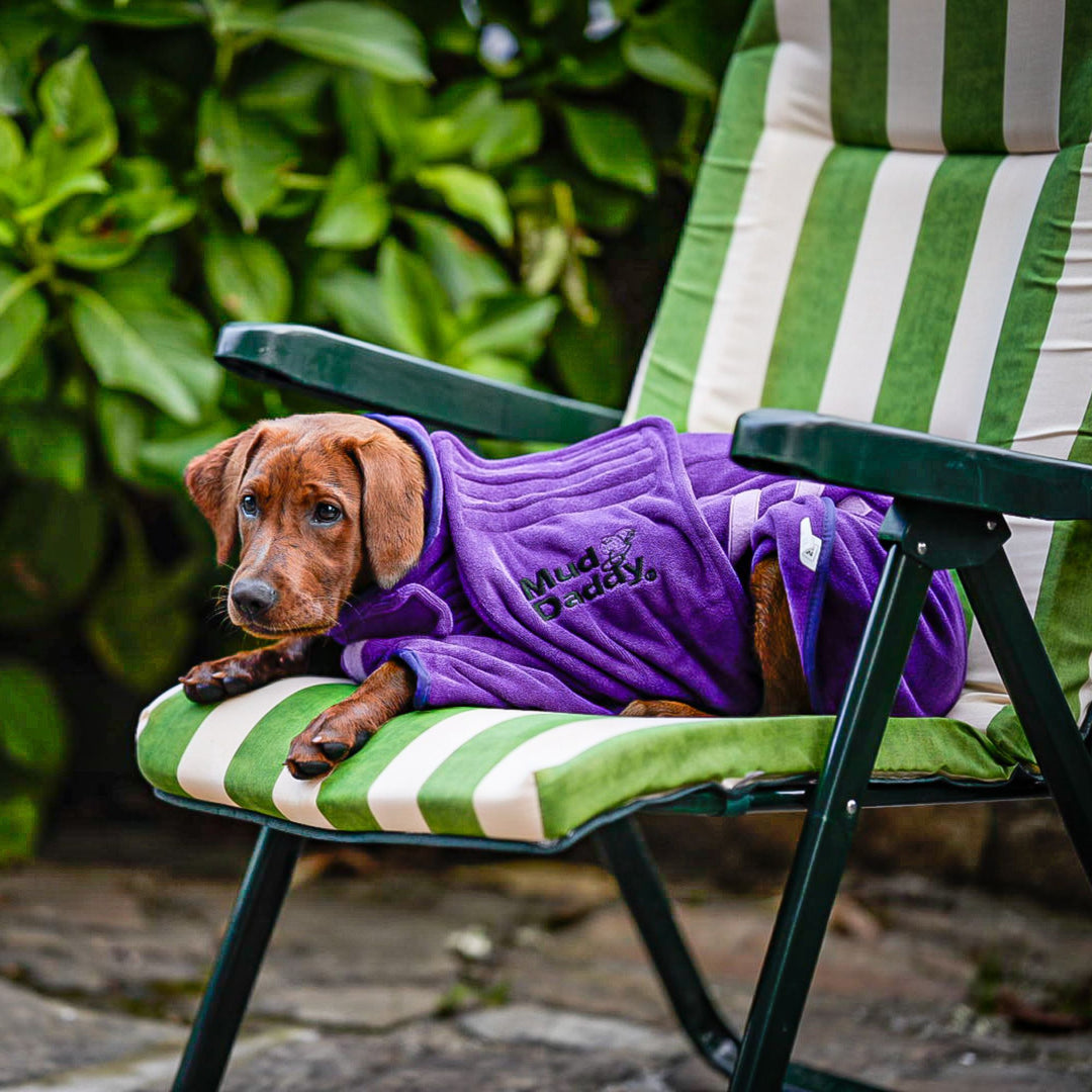 Mud Daddy® Super Absorbent Dog Drying Coat – For After Walks & Baths