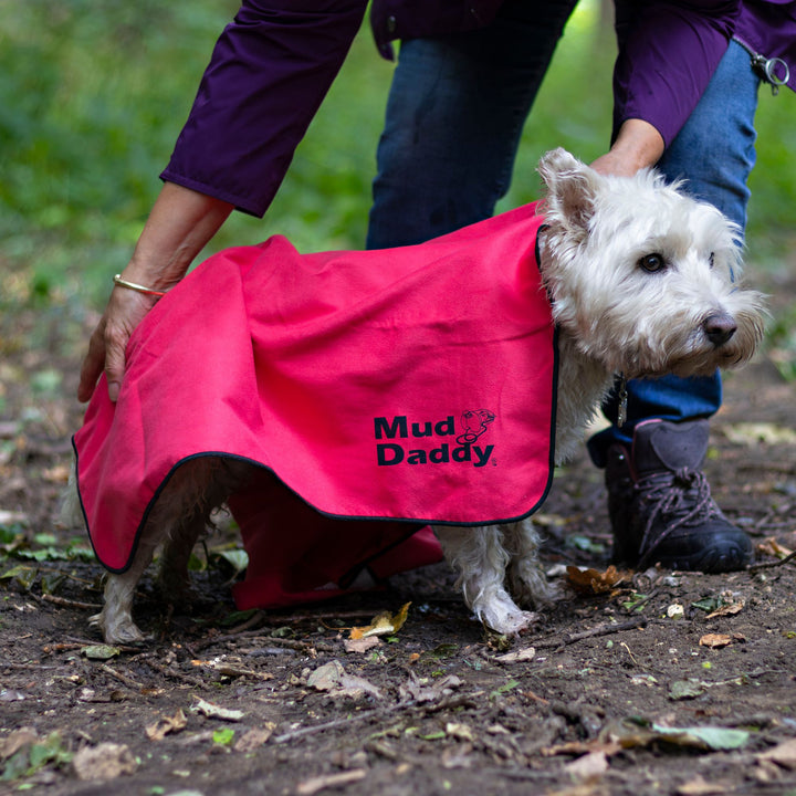 Mud Daddy® Dirty Paws Prewash and Towel