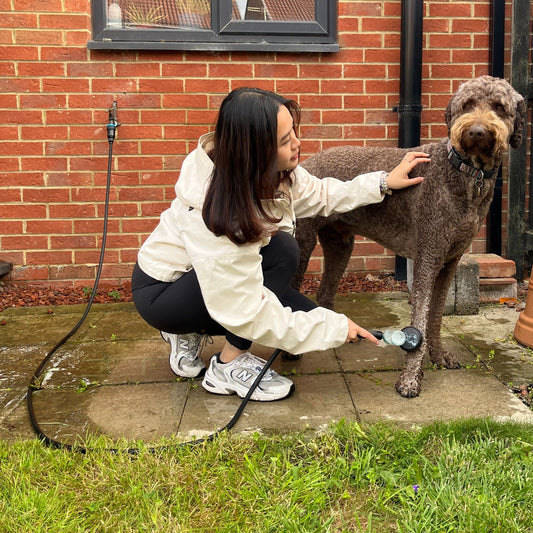 Mud Daddy® Tap & Brush with Shampoo Dispenser Cleaning Kit For Dog & Outdoor Use