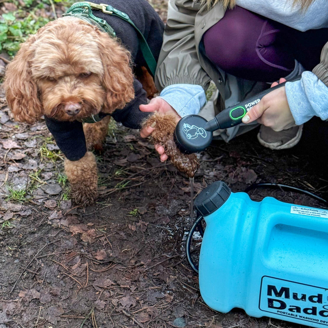 PREORDER Mud Daddy® POWER+ 5L Battery Powered Dog Washer For Small Dogs