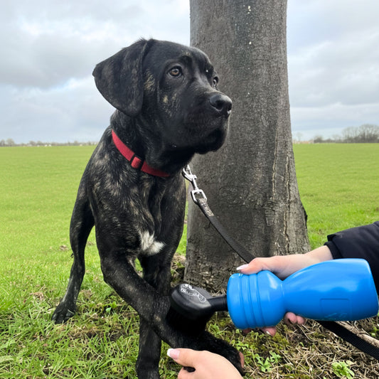 Mud Daddy® Mini Travel Dog Washer for Muddy Paws & Boots